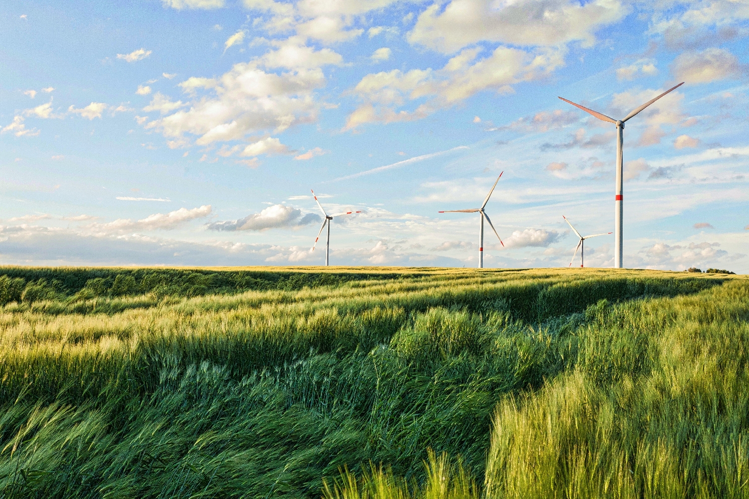 Ropný gigant Shell uzavírá dohodu o nákupu energie z největší větrné farmy na světě